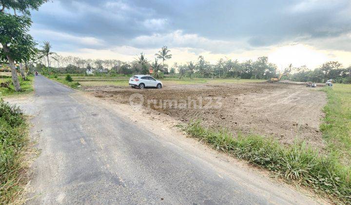 Tanah Dekat Uii, Potensi Tinggi View Sawah 2