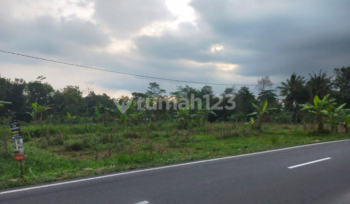 Tanah Belakang Kampus Uii Jogja, Cocok Bangun Kos 1