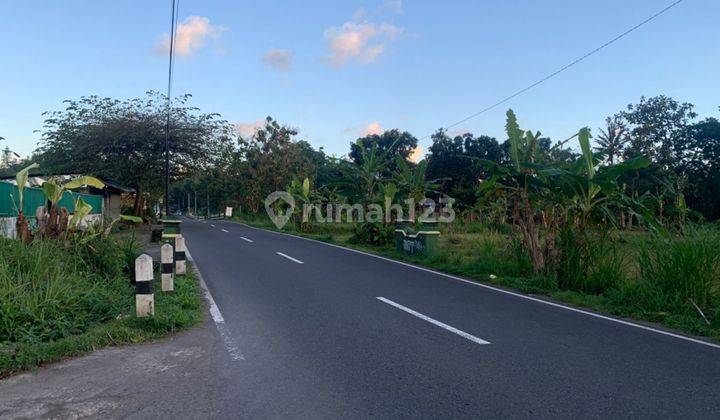 Tanah Belakang Kampus Uii Jogja, Cocok Bangun Kos 4