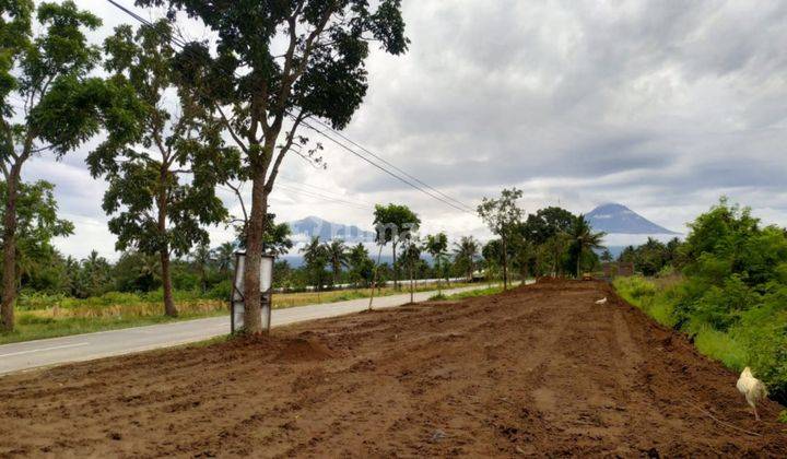 Dijual Tanah Mungkid, Dekat Sevilla Hotel Magelang 3