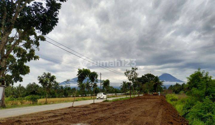 Dijual Tanah Mungkid, Dekat Sevilla Hotel Magelang 5