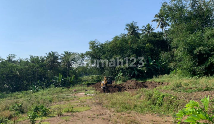 Tanah Murah Bumirejo, Dekat Samsat Mungkid Magelang 2