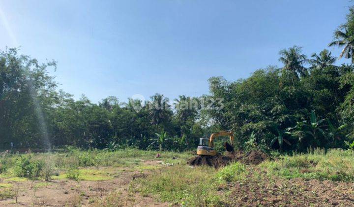 Tanah Murah Bumirejo, Dekat Samsat Mungkid Magelang 3