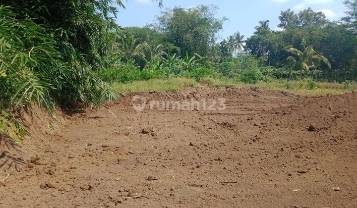 Tanah Murah Bumirejo, Dekat Samsat Mungkid Magelang 5