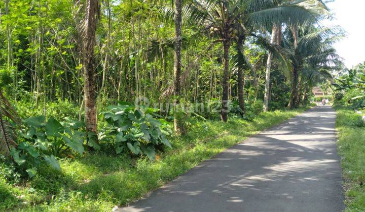 Tanah Dekat Polsek Borobudur Magelang, SHM 1