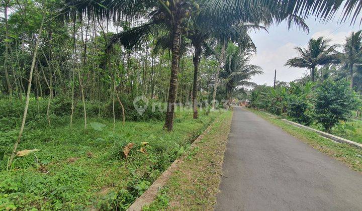 Tanah Dekat Polsek Borobudur Magelang, SHM 3