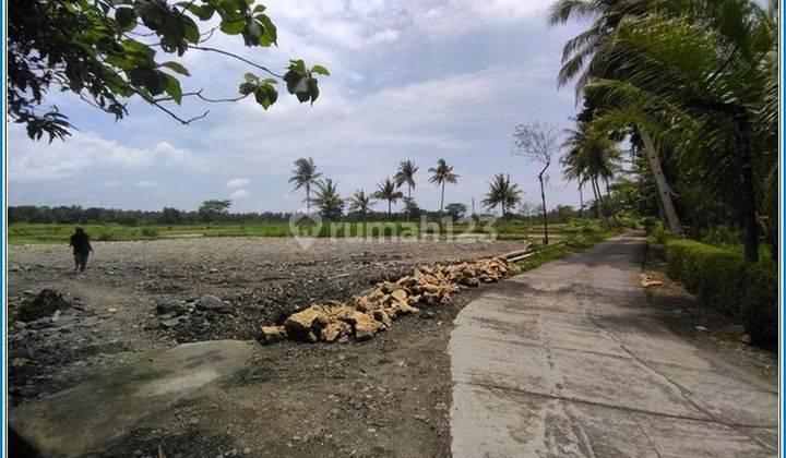 Tanah di Tawangsari, 2 Menit Pengadilan Agama Wates  2