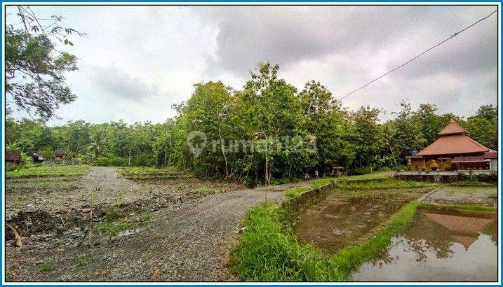 Timur Bandara Yia, Tanah Siap Ajb di Sentolo Yogyakarta 2