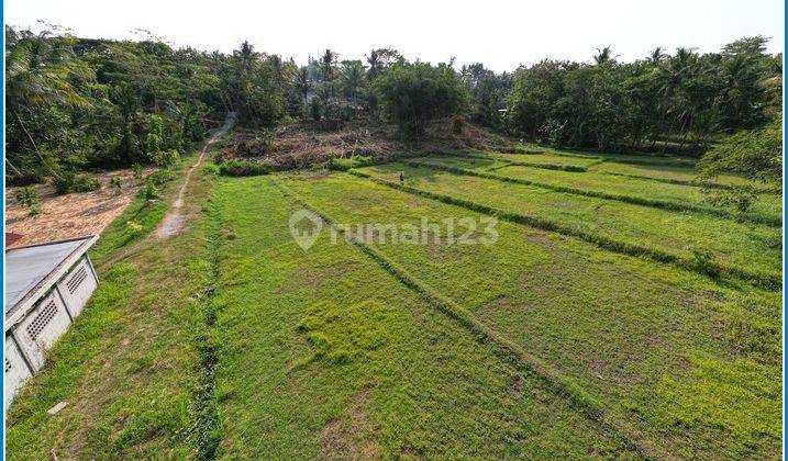 Utara Sma 1 Nanggulan, Tanah di Nanggulan Kulon Progo 1