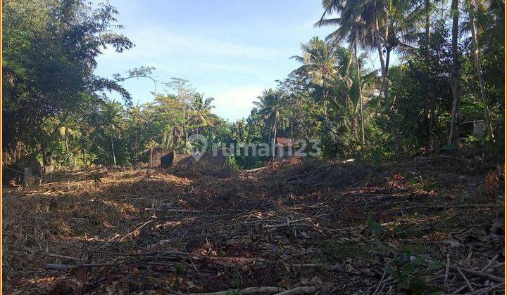 Tanah Jogja di Utara Rs Nyi Ageng Serang Kulon Progo 2