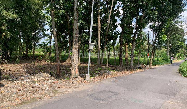 View Sawah Tanah Sleman Dekat Kopi Klotok, SHM Pekarangan  1