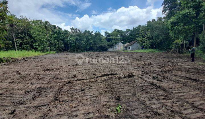 Tanah Dekat Lapangan Kasihan Bantul, Lingkungan Asri  2