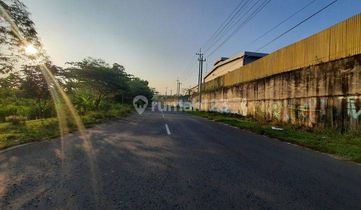 Tanah Area Pabrik Sentolo, Siap AJB cocok Bangun Kost & Investasi 