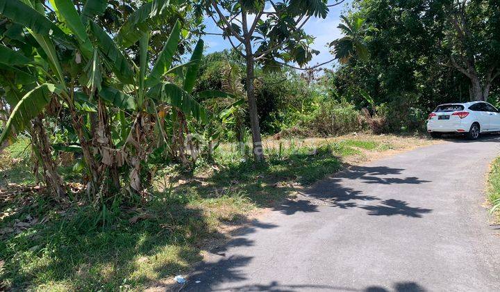 Tanah Terjangkau di Pasar Rejodani Jl Palagan Jogja 1