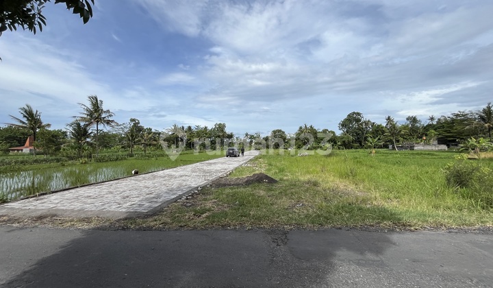 Murah 3 Jutaan! Tanah Jl Pandanaran Belakang Kampus Uii Jogja