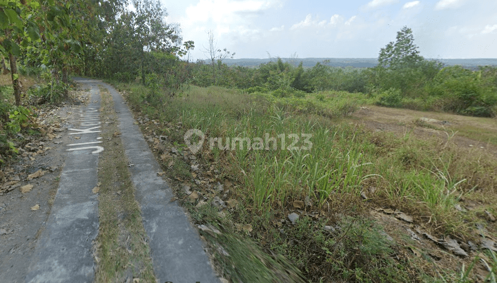 Tanah di Area Paling Berkembang Sentolo Kulonprogo Jogja 2