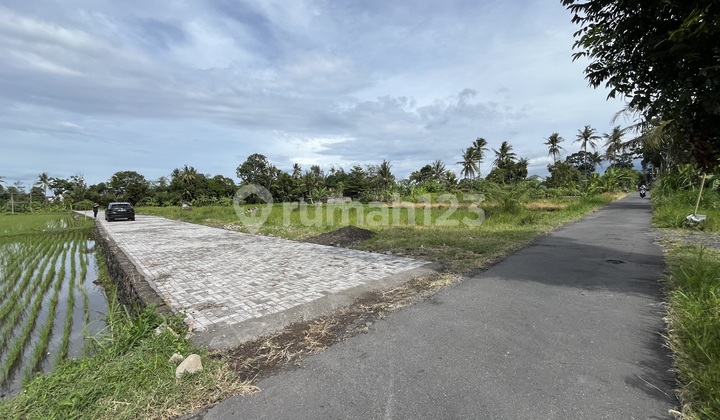 Jl. Pandanaran Belakang Kampus Uii Tanah Kaliurang Jogja Jl. Pandanaran Belakang Kampus Uii Tanah Kaliurang Jogja