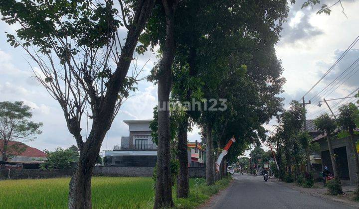 Tanah Sleman Area Kampus Utara Candi Gebang Jogja 2