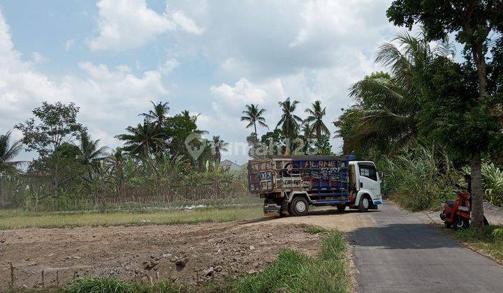 Tanah Pakem Dekat Kopi Klotok View Sawah Jogja  1