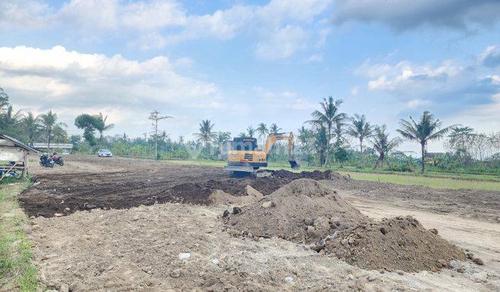 Tanah Dekat Uii, Potensi Tinggi View Sawah 1