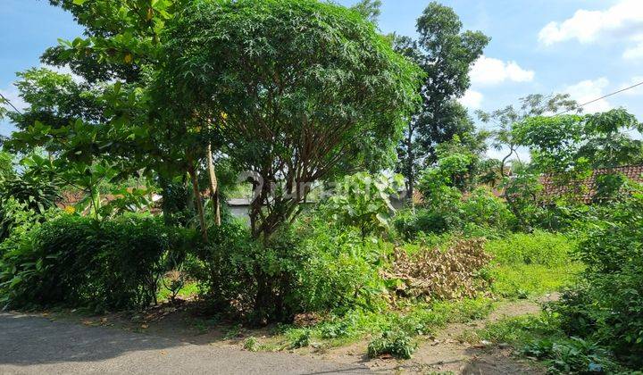 Tanah Murah Dekat Jl. Kaliurang di Jl. Pamungkas Sleman Untuk Hunian 1