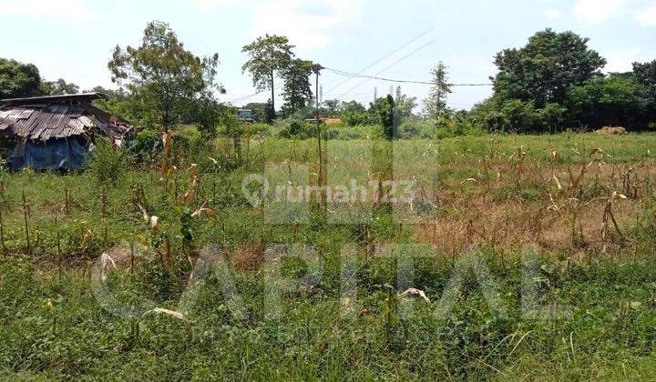 Tanah Luas Cocok Untuk Perumahan Gudang di Dawuan Karawang