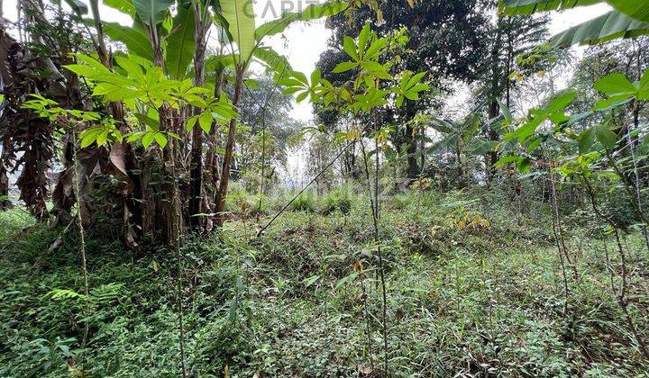For Sale Tanah Kavling Pinggir Jalan Raya Cijambe Murah  1