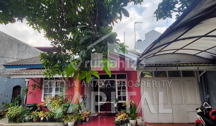 Rumah besar dan Asri Cigadung Rumah besar dan Asri Cigadung