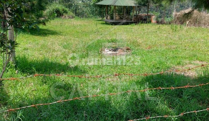 Tanah Kavling Untuk Bangun Villa Cibodas Lembang Bandung Barat Dekat Villa Artis SHM 2