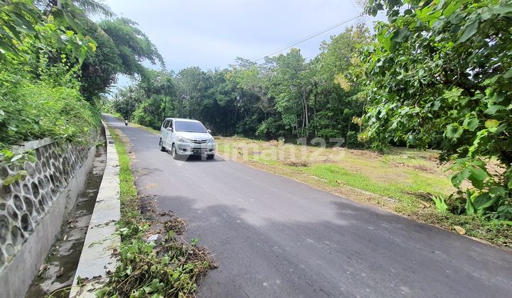 DIJUAL TANAH KAVLING DI SLEMAN 1 JUTAAN DEKAT KAMPUS UMY JOGJA