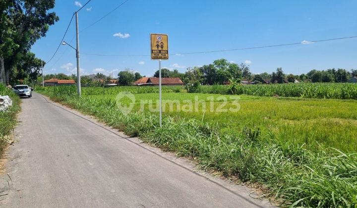 TANAH PEKARANGAN DI JOGOTIRTO BERBAH PEMANDANGAN SAWAH