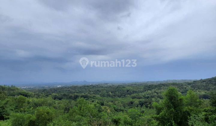 Tanag Pajangan Jogja 7 Menit Kampus Mercubuana Jl.jogja Wates 2