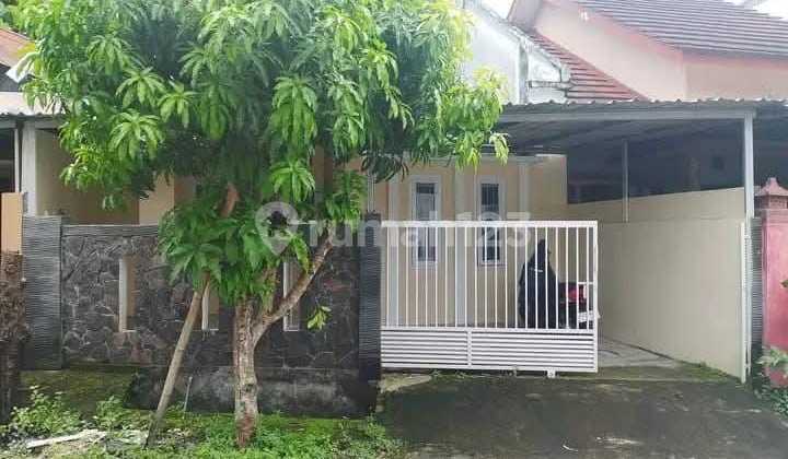 Rumah Bangunan Baru Dekat Polsek Kasihan (Mrisi) Rumah Bangunan Baru Dekat Polsek Kasihan (Mrisi)