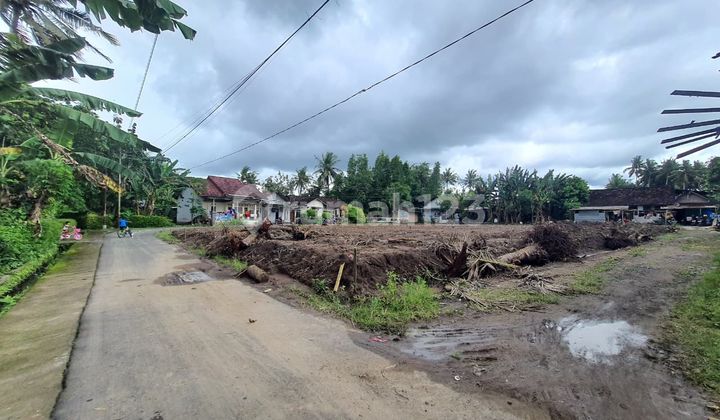 Super Strategis Kavling Dekat Polda Diy Baru Kawasan Berkembang Pesat di Utara Jl Nasional Wates