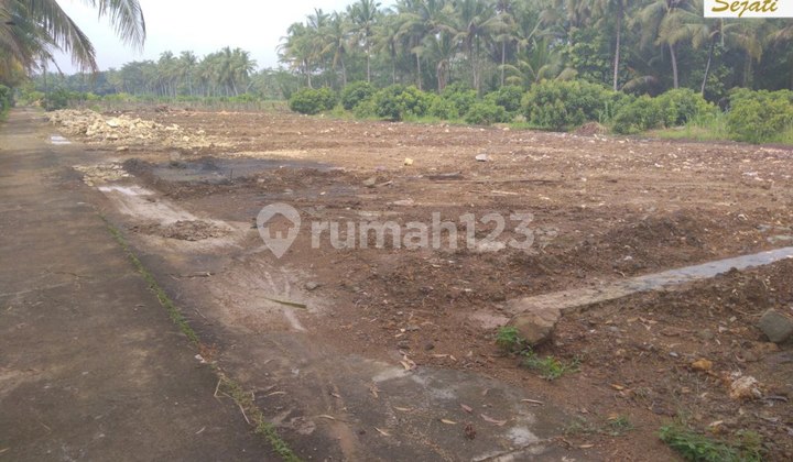 NEWS 11 UNIT TANAH KAVLING PREMIUM VIEW SAWAH WATES KOTA