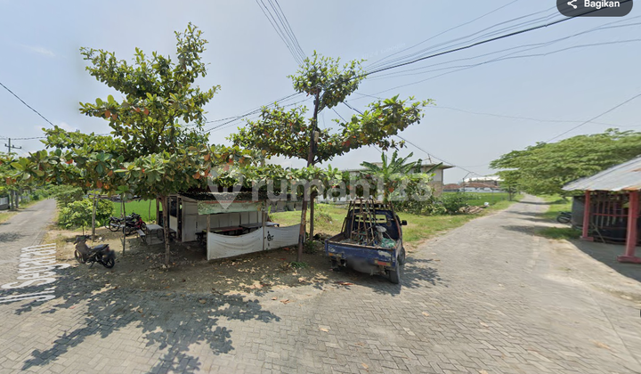 Near Akper Campus, Cheap Land for Sale in Bojonegoro, Price 100 Million and Below