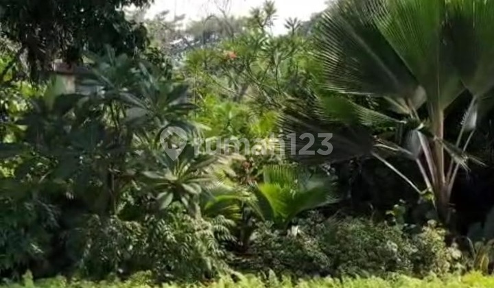 Kavling di Kav DKI Meruya Utara, Kembangan Jakarta barat Kavling di Kav DKI Meruya Utara, Kembangan Jakarta barat