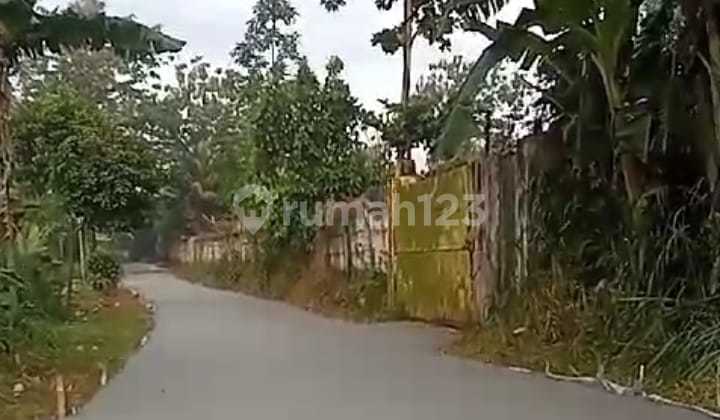 Jual tanah harga BU 100 meter dari kantor Kades di kelurahan Cibadung Gunung Sindur Jual tanah harga BU 100 meter dari kantor Kades di kelurahan Cibadung Gunung Sindur