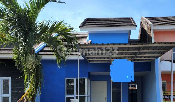 La Diva Green Hill La Diva Green Hill