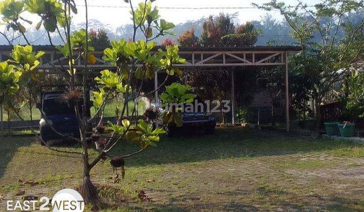 Jual Tanah Beserta 2 Rumah di Bandongan Magelang Jawa Tengah 1