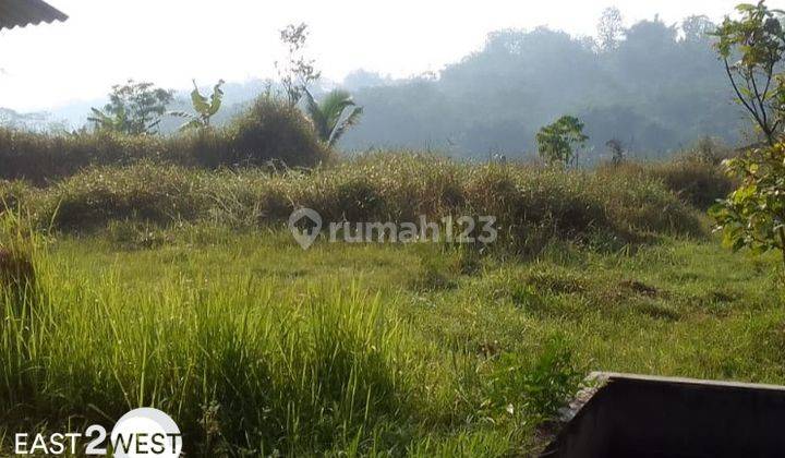 Jual Tanah Beserta 2 Rumah di Bandongan Magelang Jawa Tengah 3
