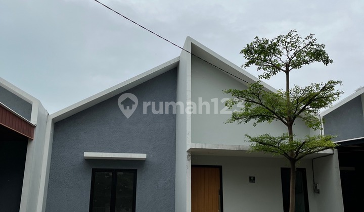 1 Unit Terakhir Siap Huni di Pondok Cabe Hanya 10Juta All In 1 Unit Terakhir Siap Huni di Pondok Cabe Hanya 10Juta All In