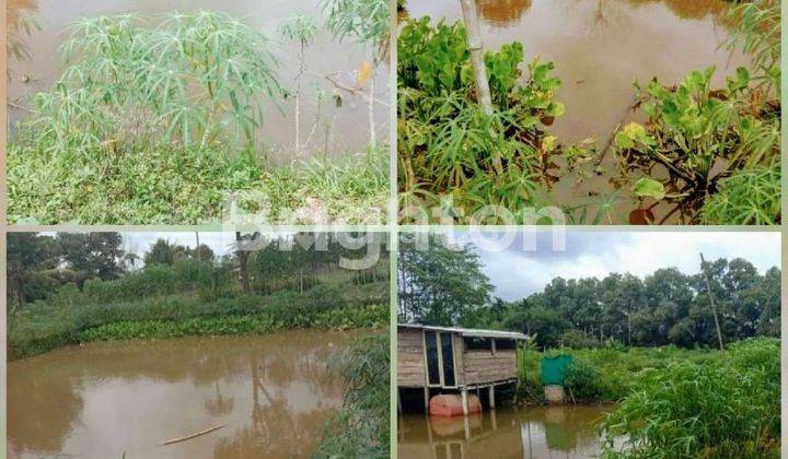 TANAH DI LENGKAPI KOLAM IKAN BISA BUAT BISNIS SUKARAMAI SUMATERA SELATAN 1