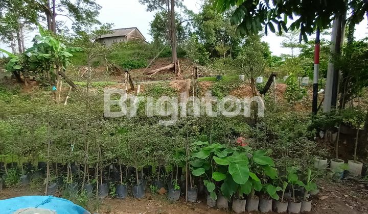 TANAH KERAS STRATEGIS PINGGIR JALAN UTAMA SAKO SUMATERA SELATAN