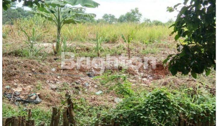 TANAH STRATEGIS PINGGIR JALAN UTAMA SEBERANG ULU I SUMATERA SELATAN 2