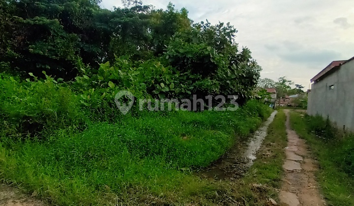 Tanah Luas Harga Terjangkau Sematang Borang