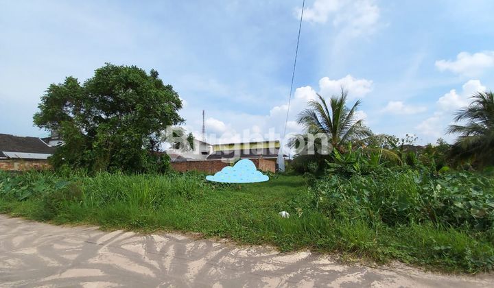 KOST KOST AN 4 PINTU LOKASI STRATEGIS KENTEN LAUT SUMATERA SELATAN KOST KOST AN 4 PINTU LOKASI STRATEGIS KENTEN LAUT SUMATERA SELATAN