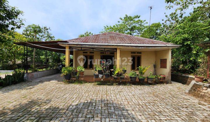 Rumah Dan Lahan di Rangkas Bitung, Lebak Banten 1