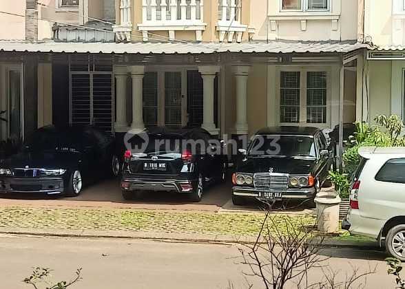 Delatinos Cluster Mexicano, Bsd City