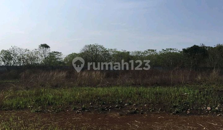 Reni Jaya Land. Affordable Price.